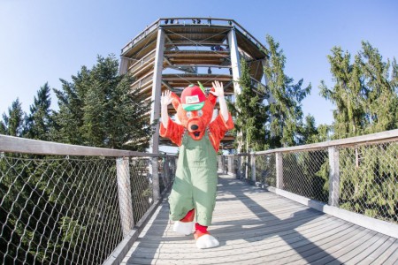 stezka-korunami-stromu-lipno